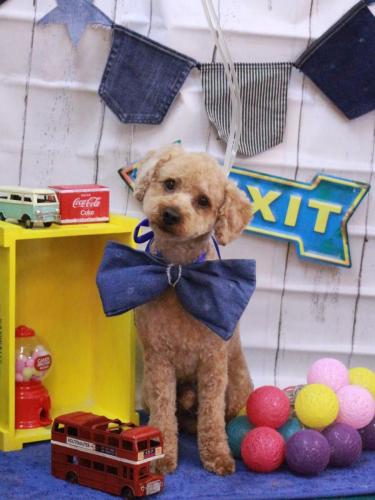 20230402マロンくん